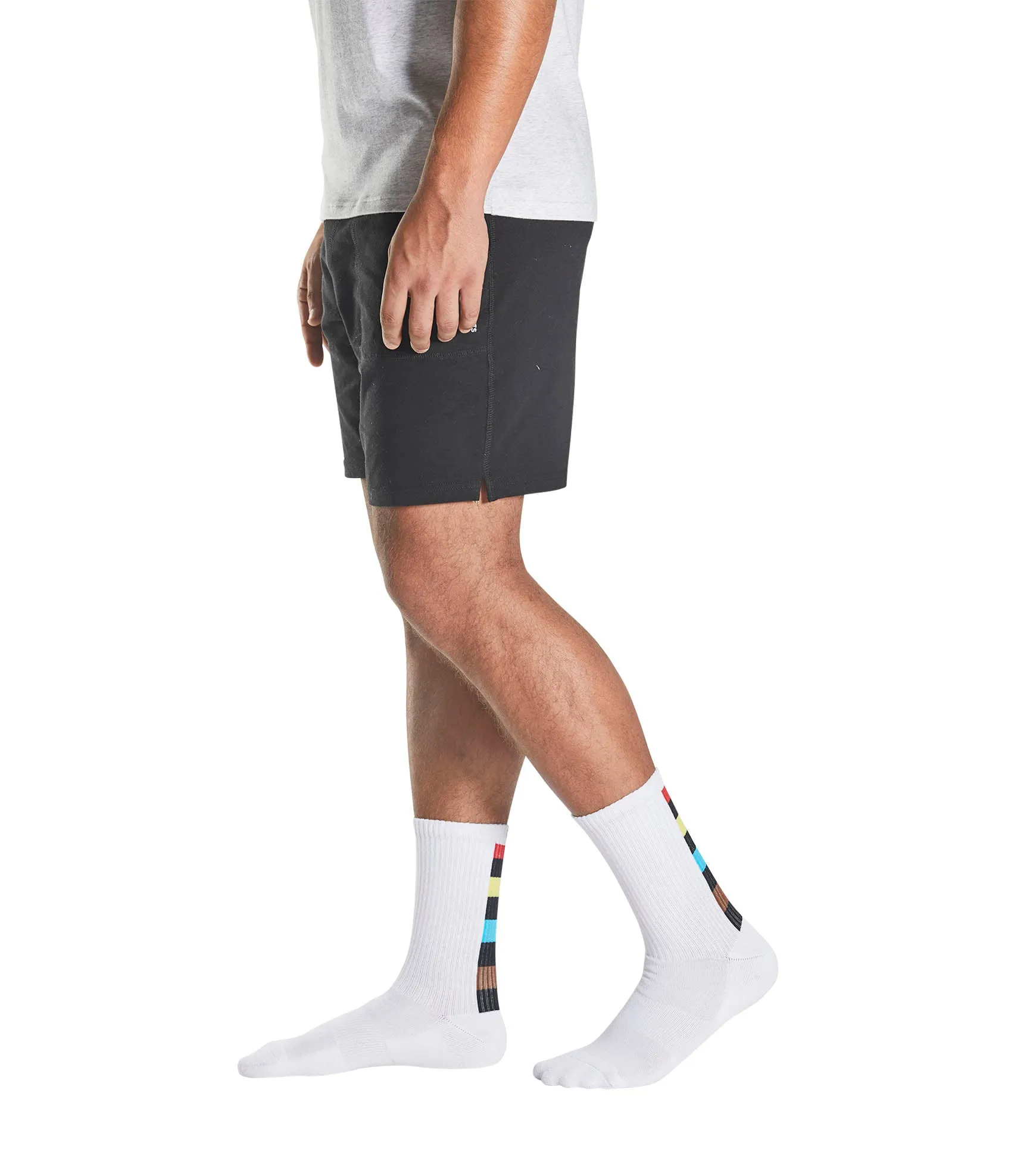 Cushion Crew Socks - PRIDE